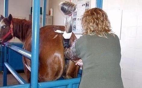 云南虫谷 产品图片