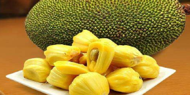 元祖观察之死无对证 相关产品