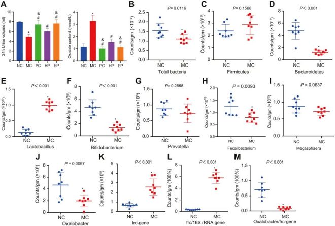 亚瑟3：终极对决 产品图片