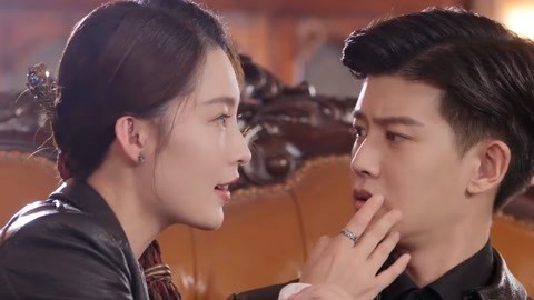 代码危机 产品主图