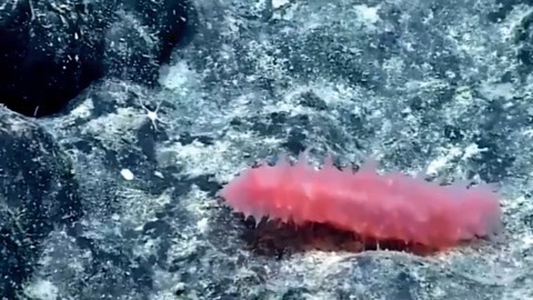 你伤害了我 相关产品