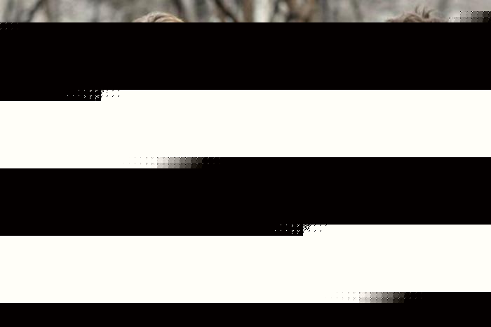 倚天屠龙记之九阳神功（国语版） 相关产品