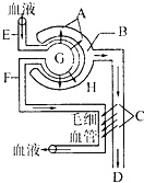 侠盗之歌 相关产品