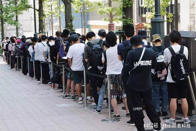 何去何从 产品图片