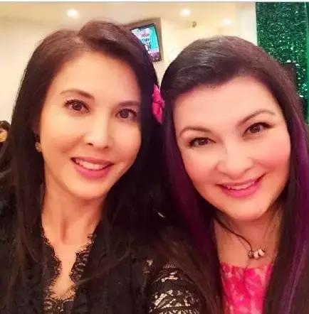 九门提督 产品主图