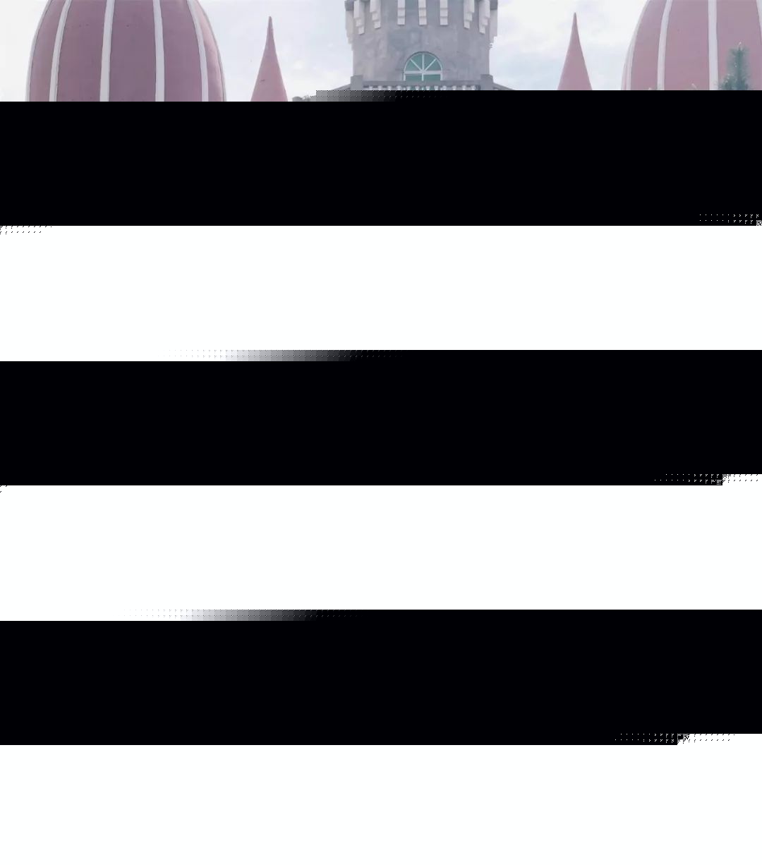 义本无言 产品图片