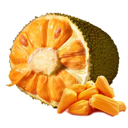 亚马逊河上的爱情 产品图片