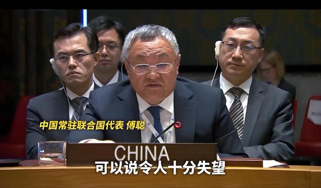 人前叫多莉，人后叫凯蒂 相关产品