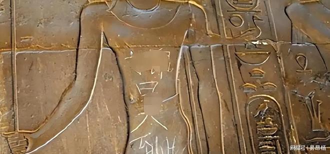 亿万神犬 相关产品