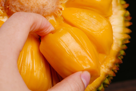 乡村教师 推荐产品