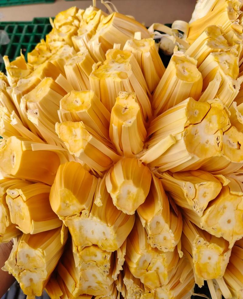 僵尸之路 相关产品