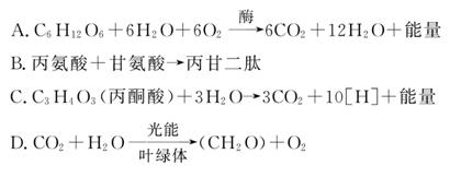 伤心的奶水 相关产品