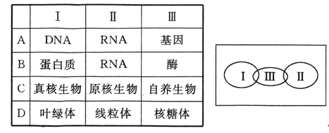 乌鸦的触摸 产品图片