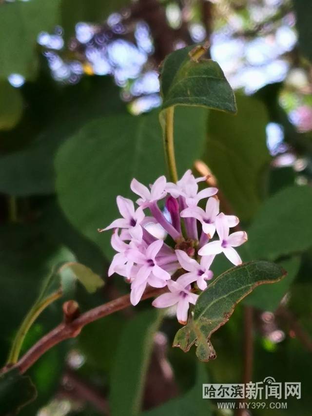 你从未在此 相关产品