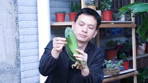 你在哪 相关产品