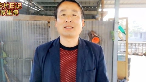 像小强一样活着 相关产品