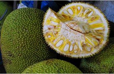 余生一年的我，遇见了的余生半年的你的故事 相关产品