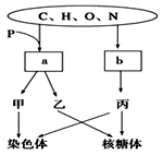 作祟的心 相关产品