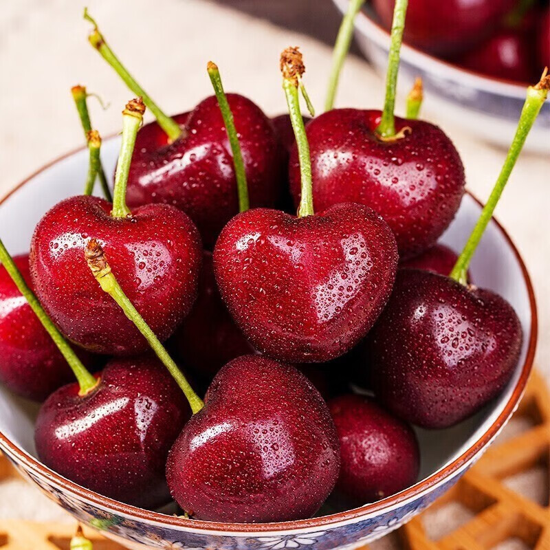 佛莱迪大战杰森 相关产品