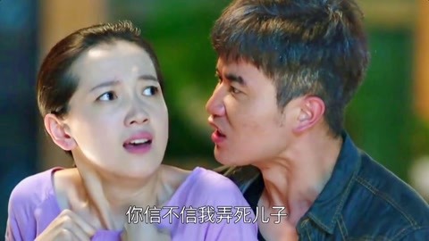 传承叶 相关产品