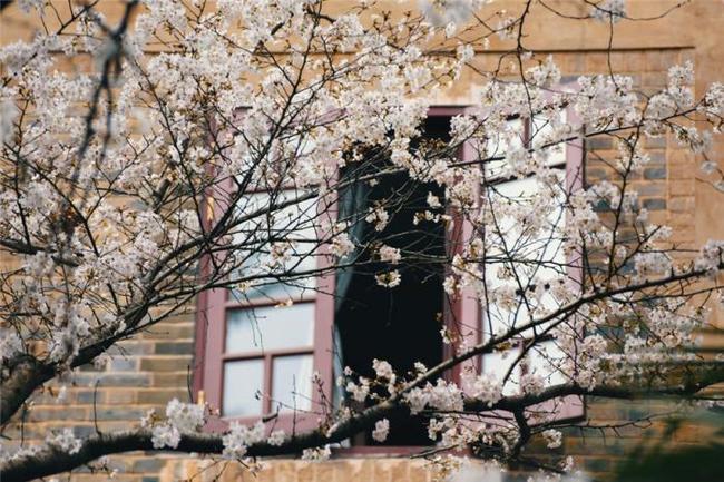 佐治亚州风暴 相关产品