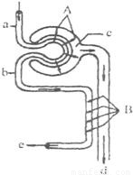 九个半星期 产品图片