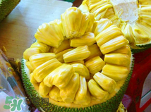 什么不会杀死你 产品主图