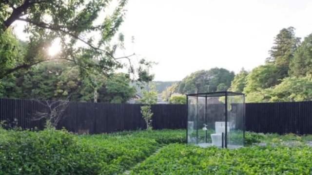 僵尸世界大战 相关产品