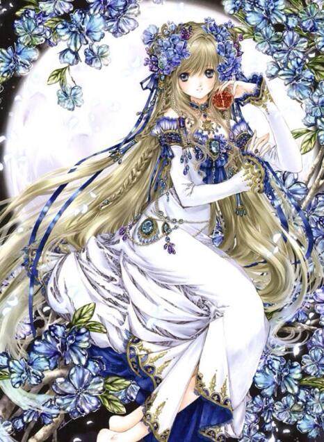 云上太阳 推荐产品