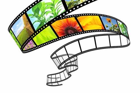 人猿泰山之重返家园（国语版） 推荐产品