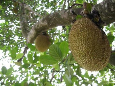 云门诡道 相关产品