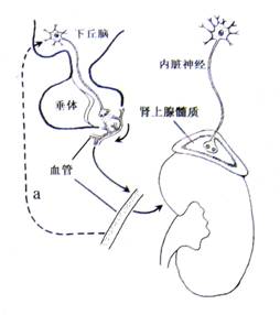 何去何从 相关产品