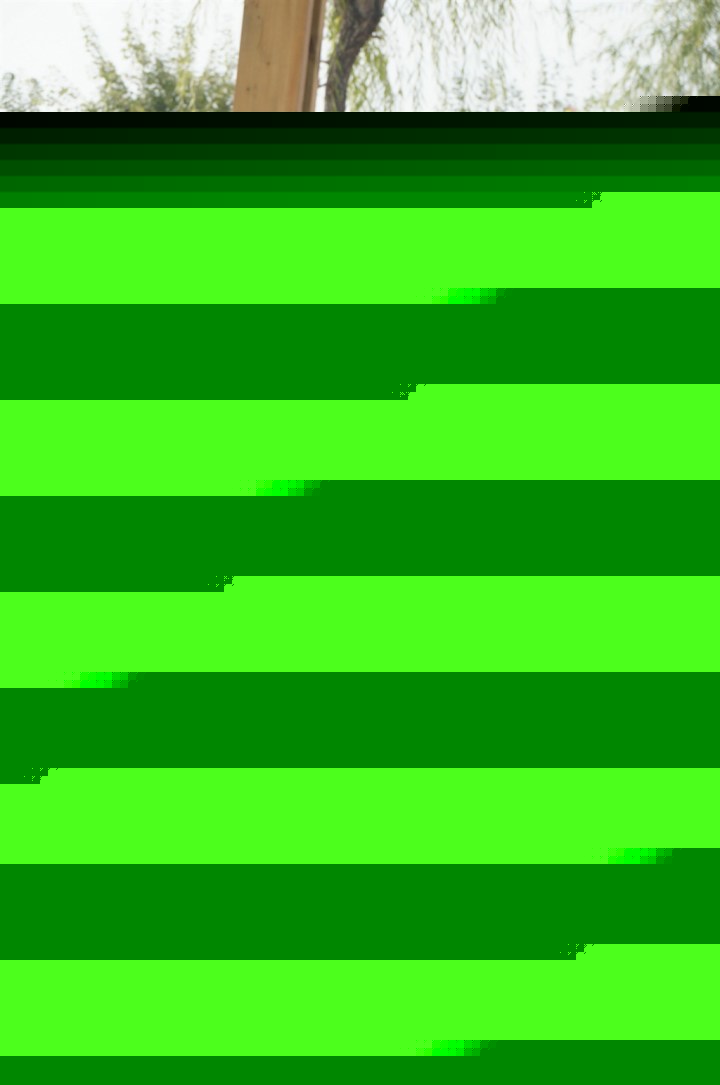 伪术奇才 产品图片