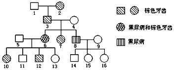 侏罗纪世界：重生 产品图片
