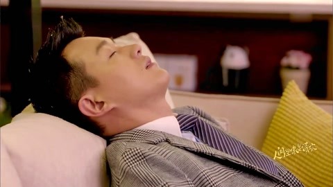 二流太傅 产品图片