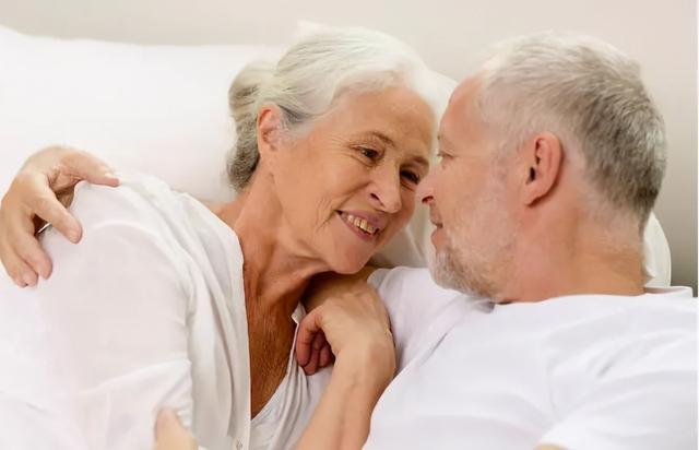 乖狗狗 相关产品