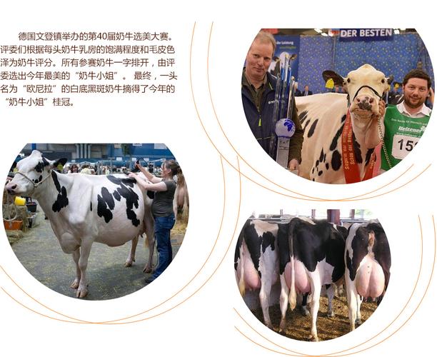 仙厨奇缘 相关产品