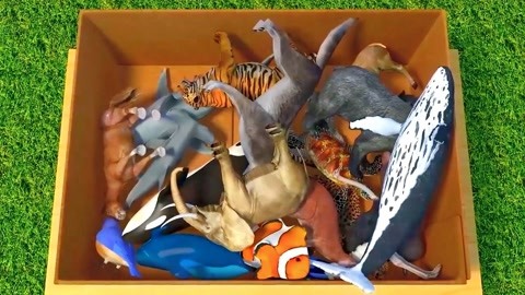 人生真美丽 相关产品