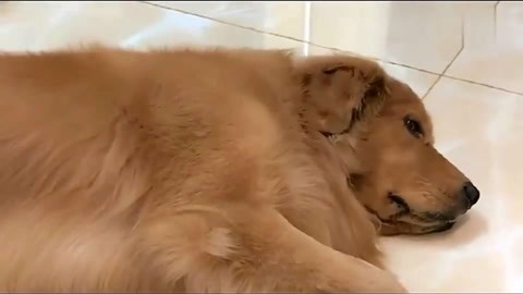 五年模拟 三年高考 相关产品