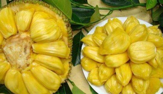 九龙镇天棺 相关产品