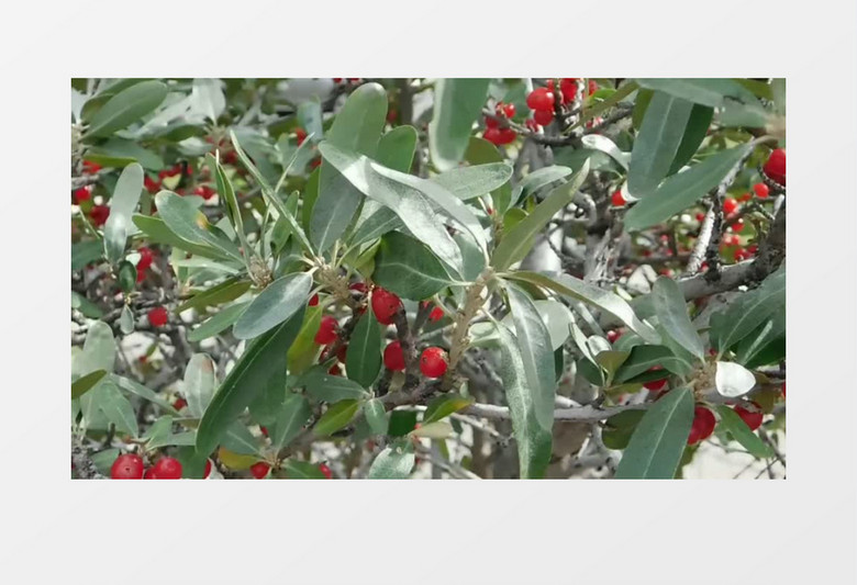 传输失败 产品图片