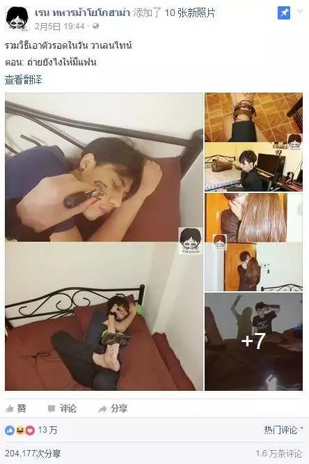 乌龙大家庭 产品图片