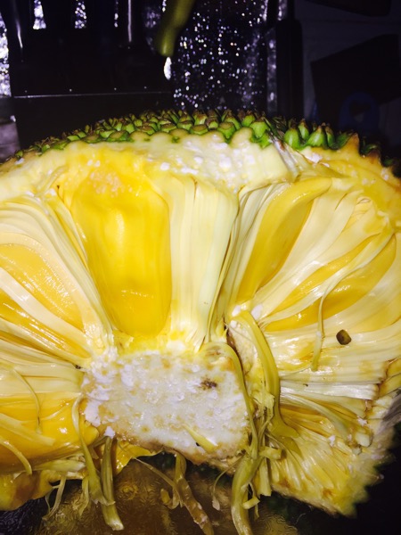 僵尸叔叔 推荐产品