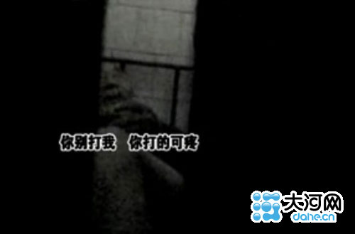 人猿泰山之重返家园（国语版） 产品图片