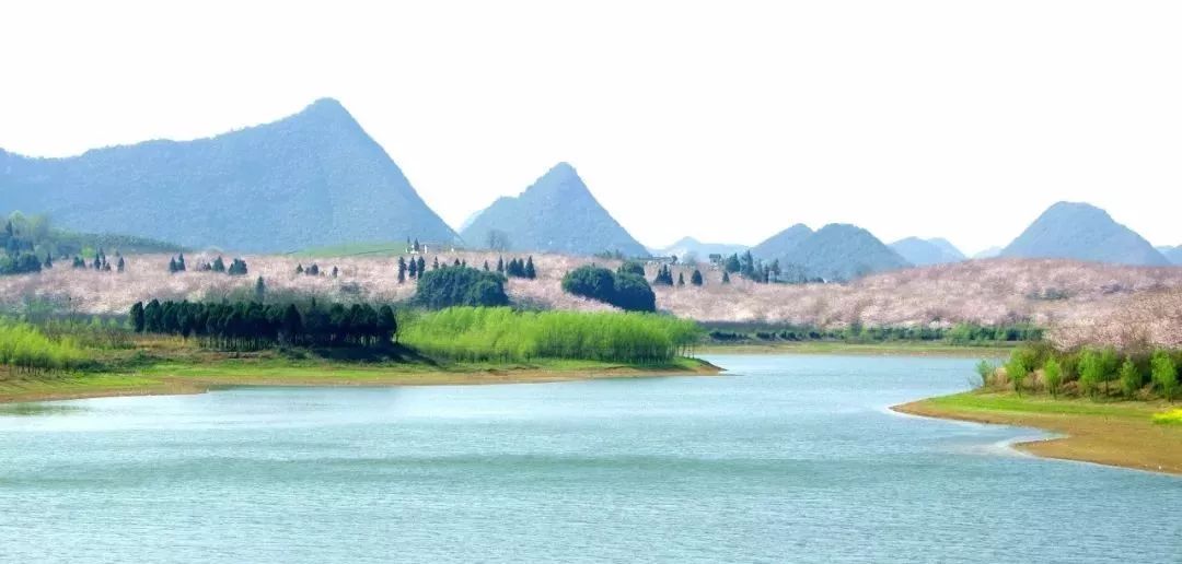 伽利略特别篇 推荐产品