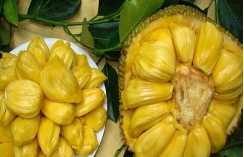 余光珍爱 相关产品