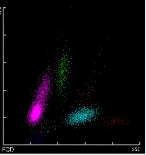 五美元过一天 产品图片