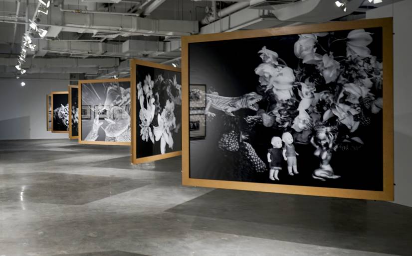 今天世界交给我 相关产品