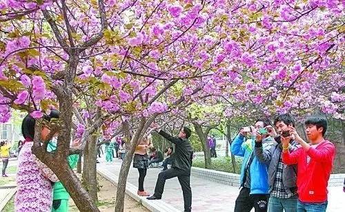 伦敦河 推荐产品