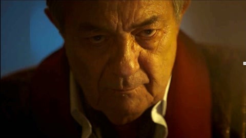 传承叶 产品主图